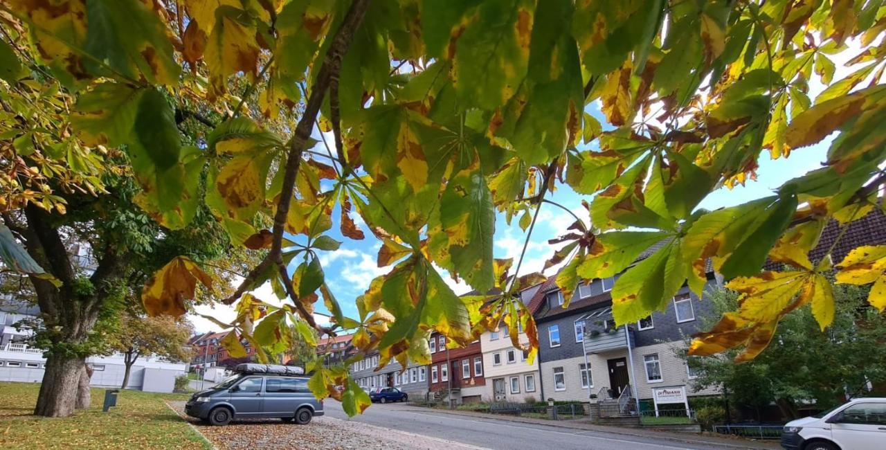 Ferienwohnung Kastanienblick Sankt Andreasberg Exterior foto